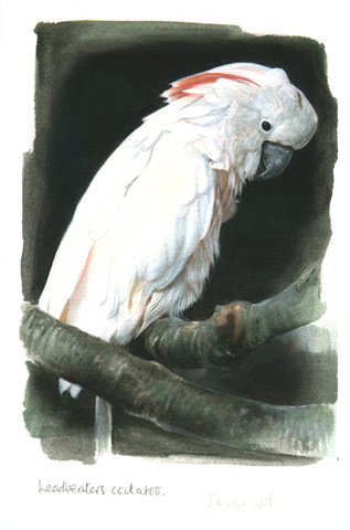 Art 5